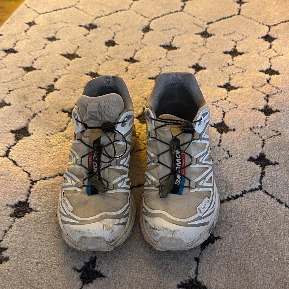 Salomon Tan and White Trail Shoes